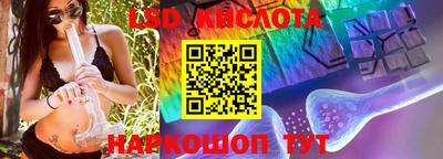 прущие крисы Гатчина