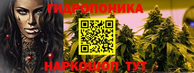 прущие крисы Гатчина