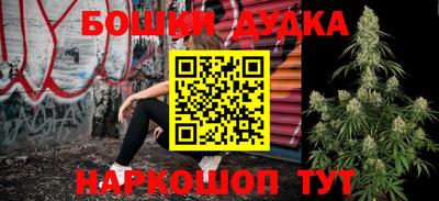 прущие крисы Гатчина
