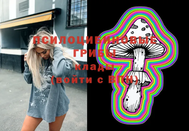 MEGA   Тверь  Псилоцибиновые грибы Magic Shrooms  купить наркоту 