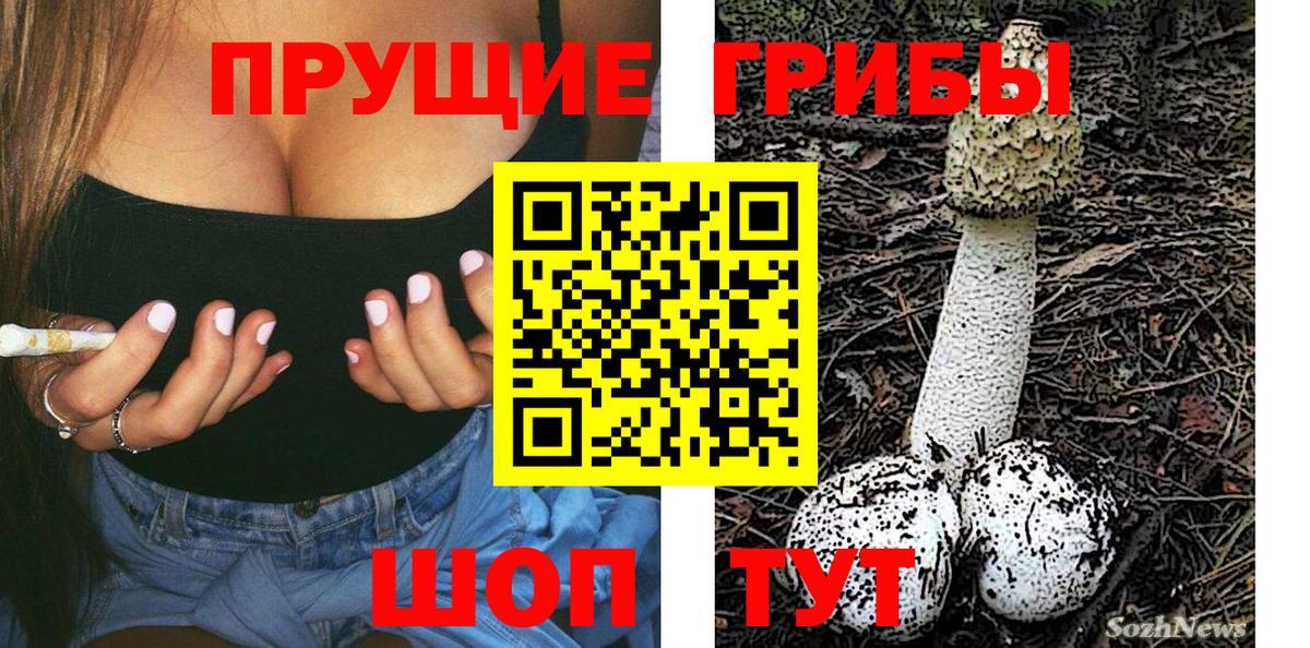 Псилоцибиновые грибы Psilocybine cubensis  Галлюциногенные грибы Psilocybe  купить наркотик  Тверь 