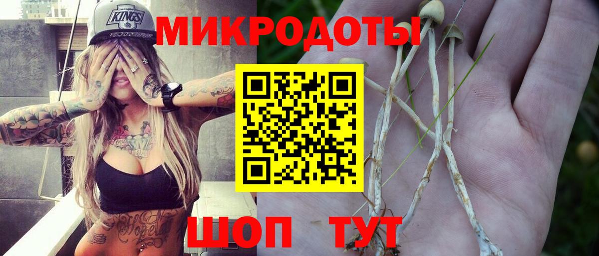 Галлюциногенные грибы Magic Shrooms  Вход с VPN  Тверь  Псилоцибиновые грибы мухоморы 